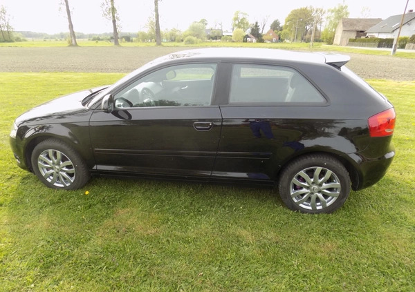 Audi A3 cena 20900 przebieg: 154000, rok produkcji 2009 z Szprotawa małe 497